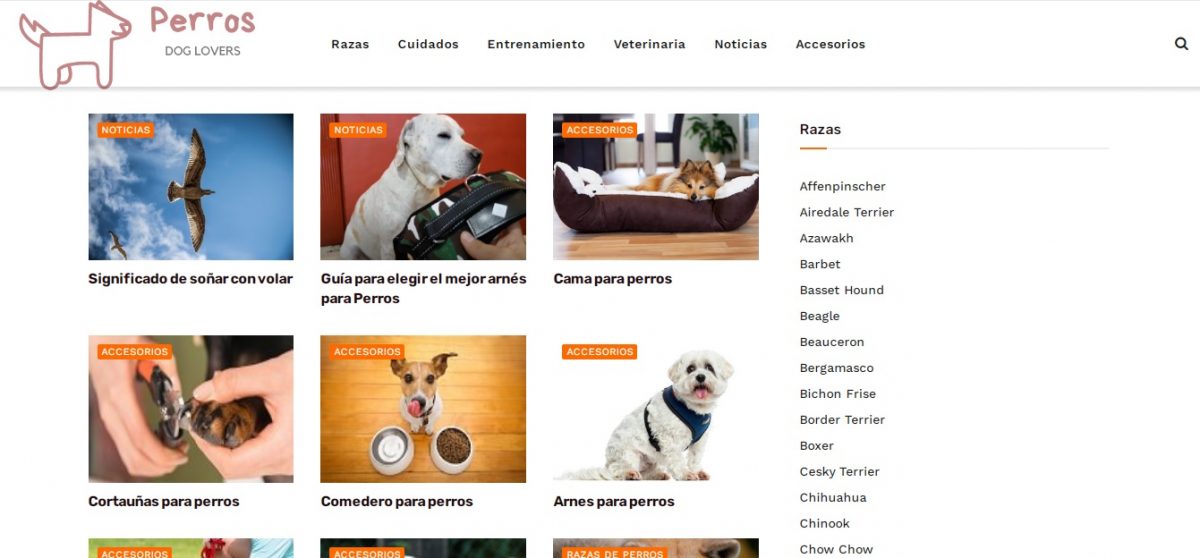 perros.review - Web Leopardo - SeoDeseo